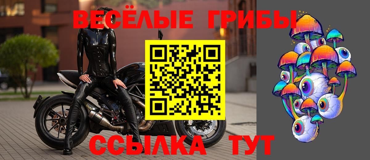 Псилоцибиновые грибы прущие грибы Волжск